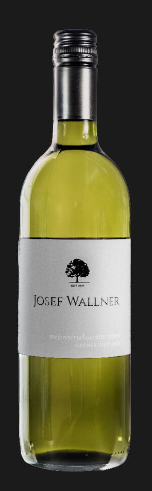 Weingut Josef Wallner Weinviertel DAC Grüner Veltliner "Alte Reben" 2024